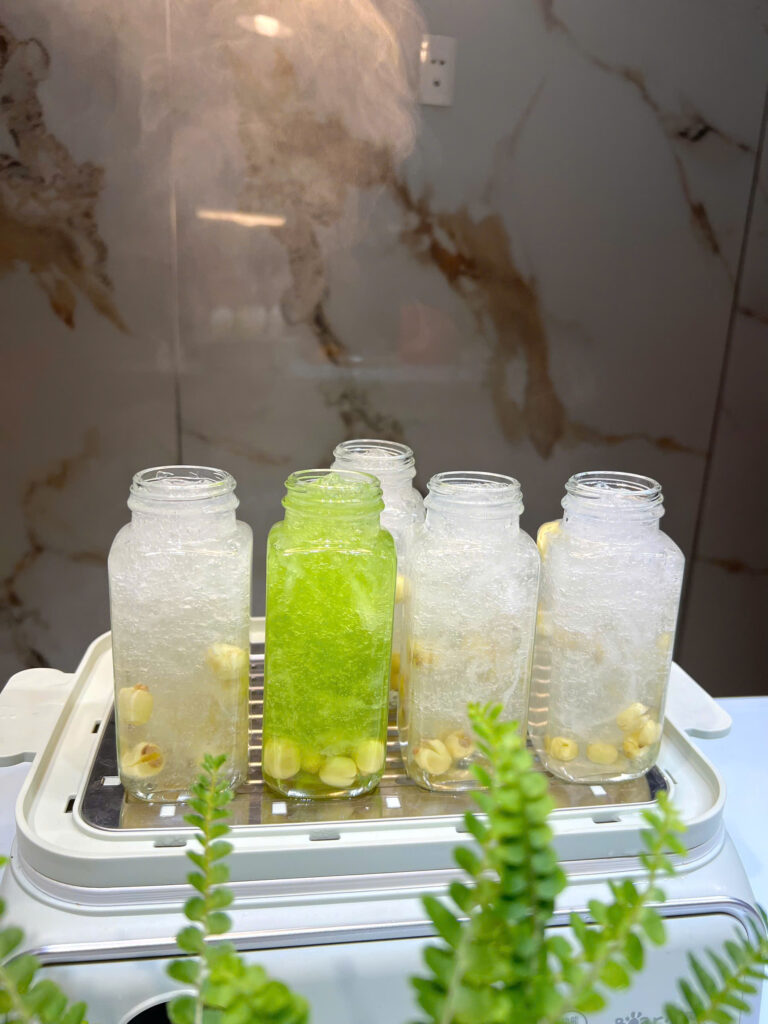 Yến chưng tươi tốt cho sức khỏe người lớn tuổi và trẻ nhỏ